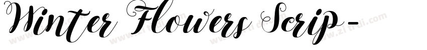 Winter Flowers Scrip字体转换